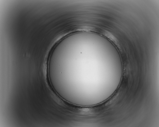 X0000090421130200707201113