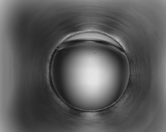 X0000090421134200707201113