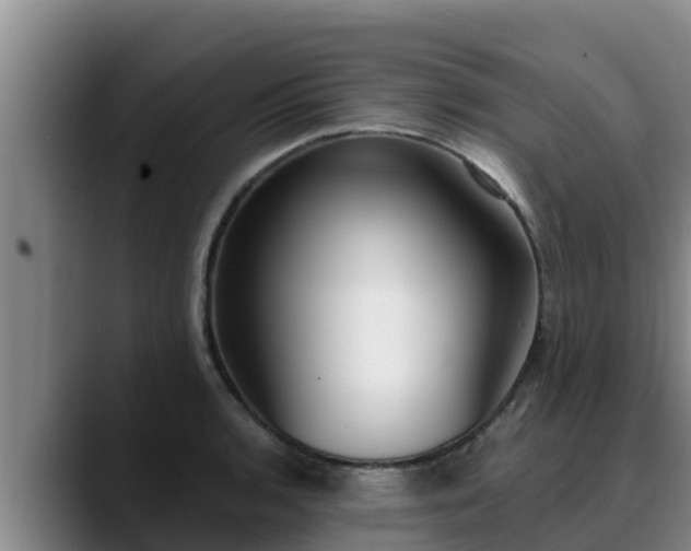 X0000090421136200707201113