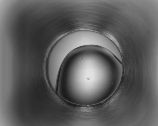 X0000090421138200707201113