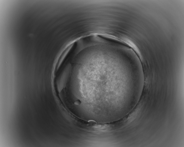 X0000090421146200707201113