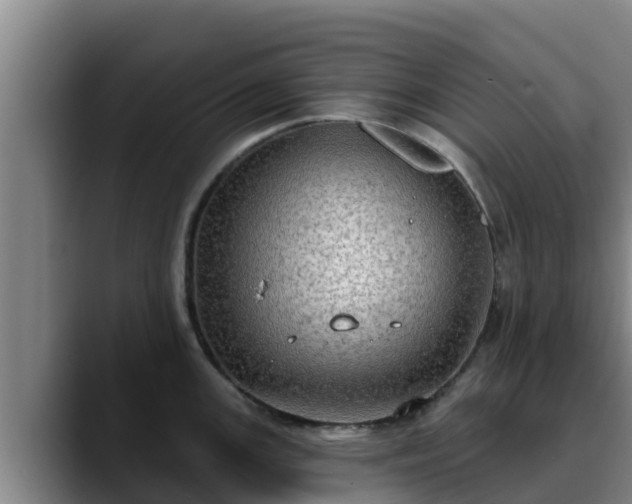 X0000090421147200707201113