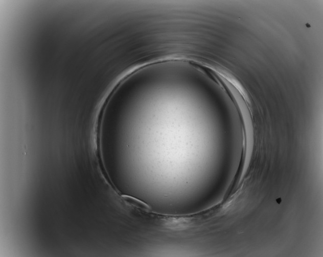 X0000090421148200707201113