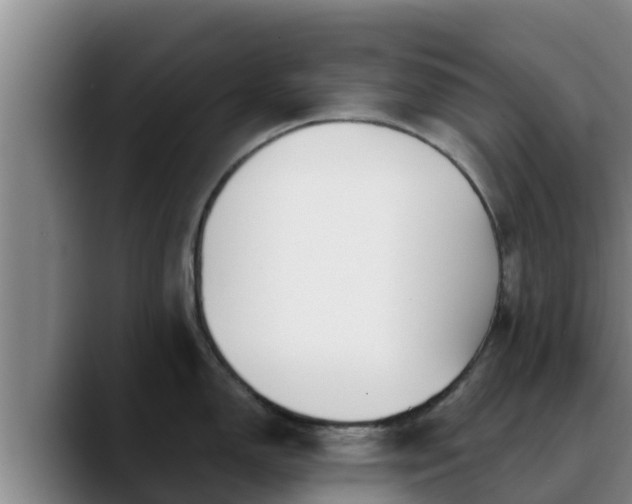 X0000090421150200707201113