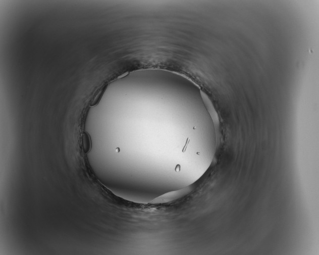 X0000090421153200707201113