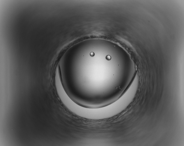 X0000090421160200707201113