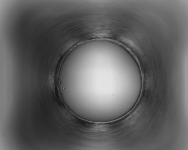 X0000090421162200707201113