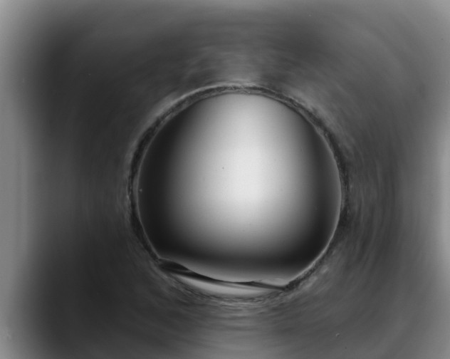 X0000090421168200707201113