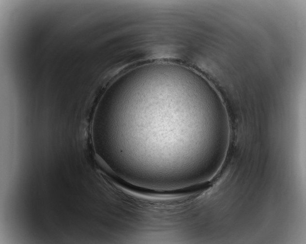 X0000090421169200707201113