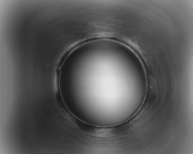 X0000090421171200707201113