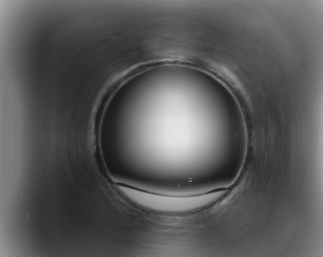 X0000090421172200707201113