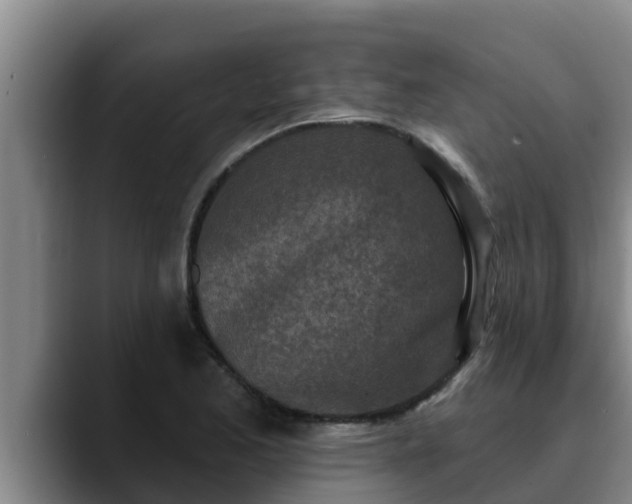 X0000090421173200707201113