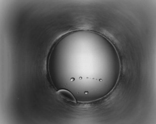 X0000090421174200707201113