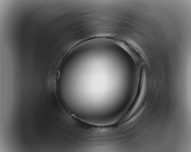 X0000090421177200707201113