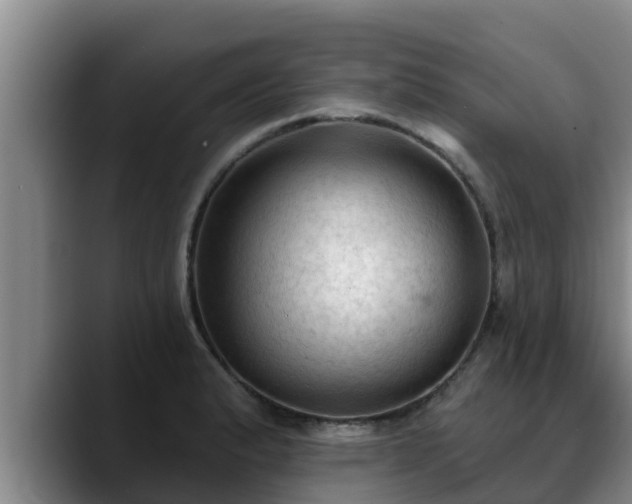 X0000090421183200707201113