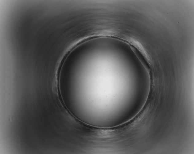 X0000090421184200707201113