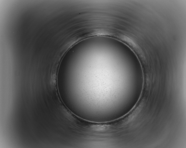 X0000090421185200707201113