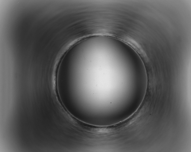 X0000090421188200707201113