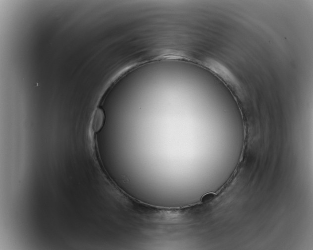 X0000090421190200707201113