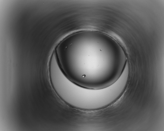 X0000090421192200707201113