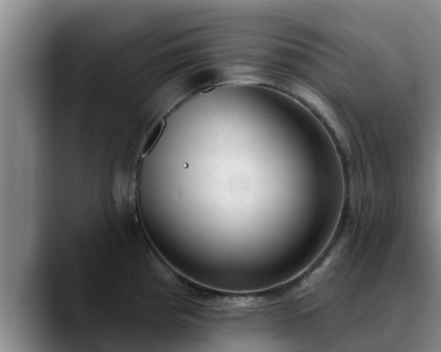 X0000090421193200707201112