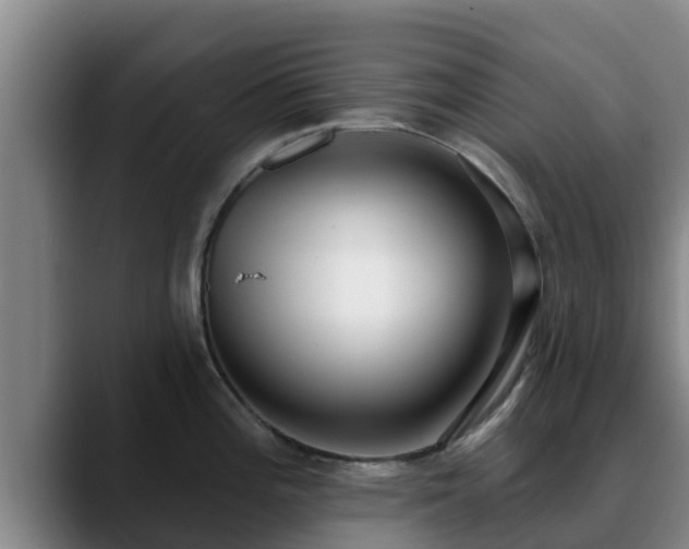 X0000090421196200707201112