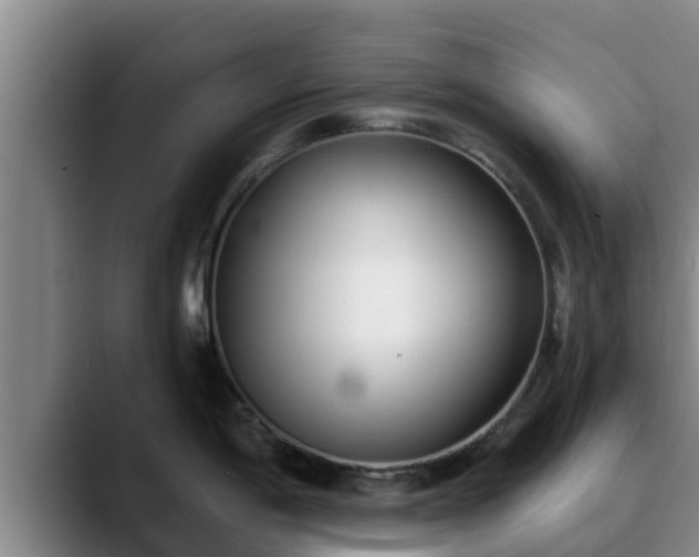 X0000090421198200707201112