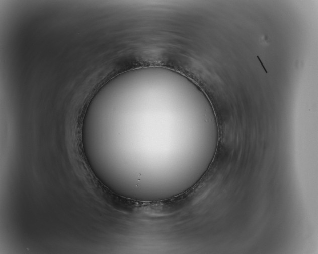 X0000090421201200707201112