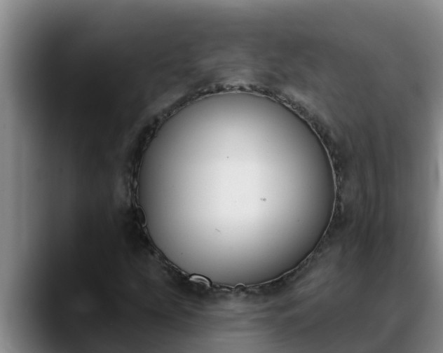 X0000090421207200707201112