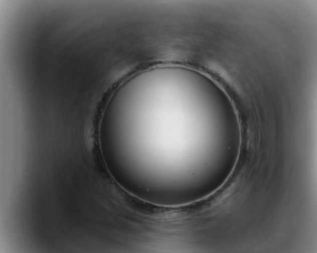 X0000090421213200707201112