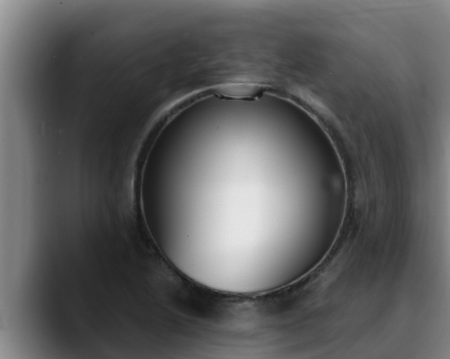 X0000090421222200707201112