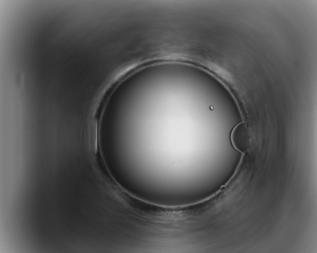 X0000090421223200707201112