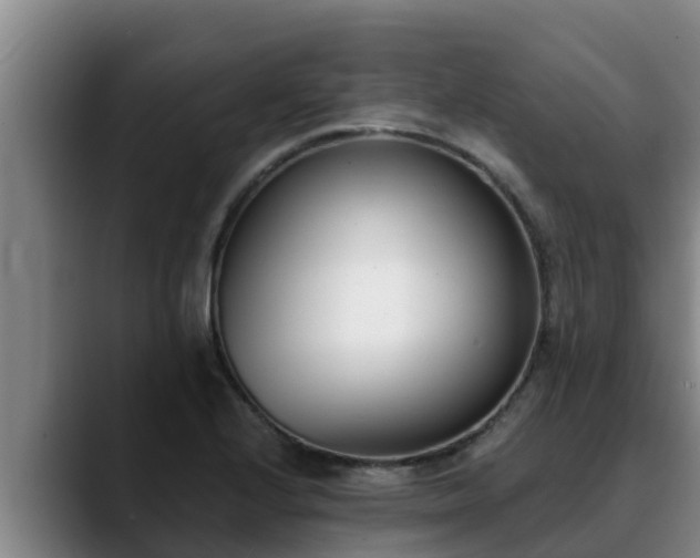 X0000090421224200707201112