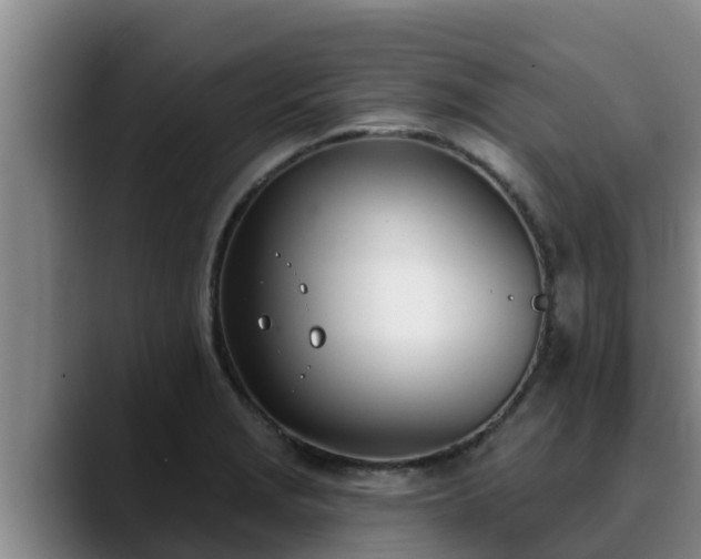 X0000090421229200707201112