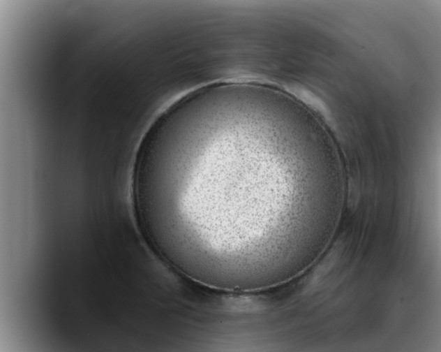 X0000090421231200707201112