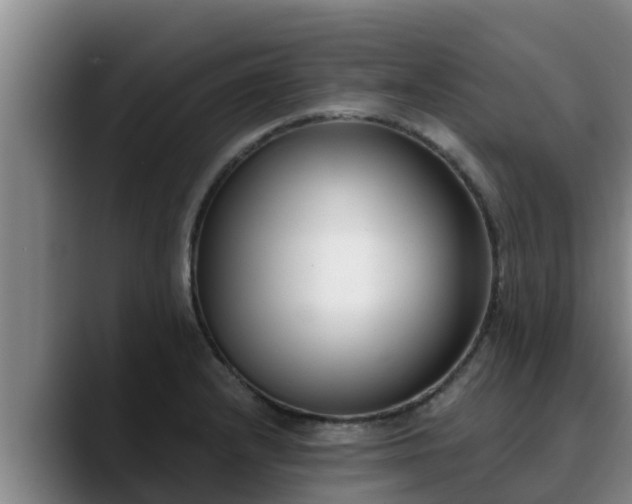 X0000090421232200707201112