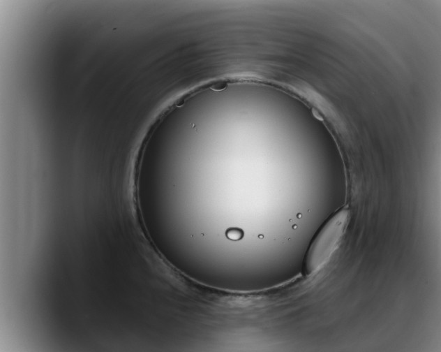 X0000090421240200707201112