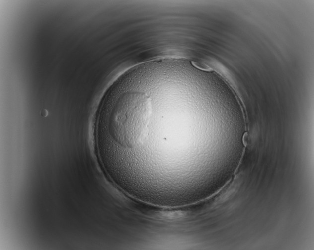 X0000090421243200707201112