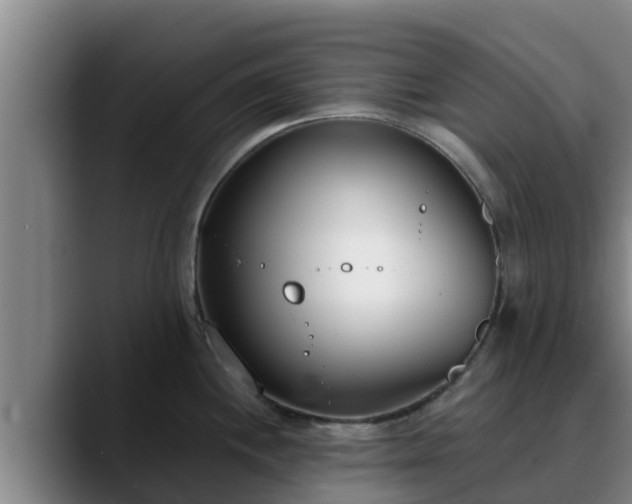 X0000090421244200707201112