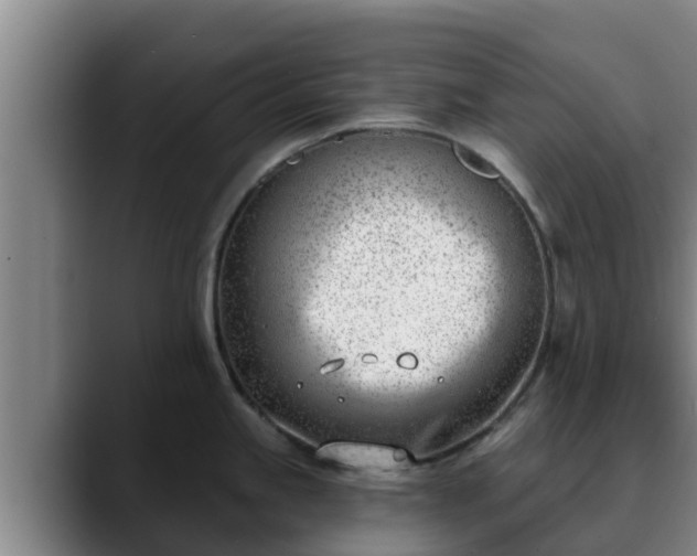 X0000090421245200707201112