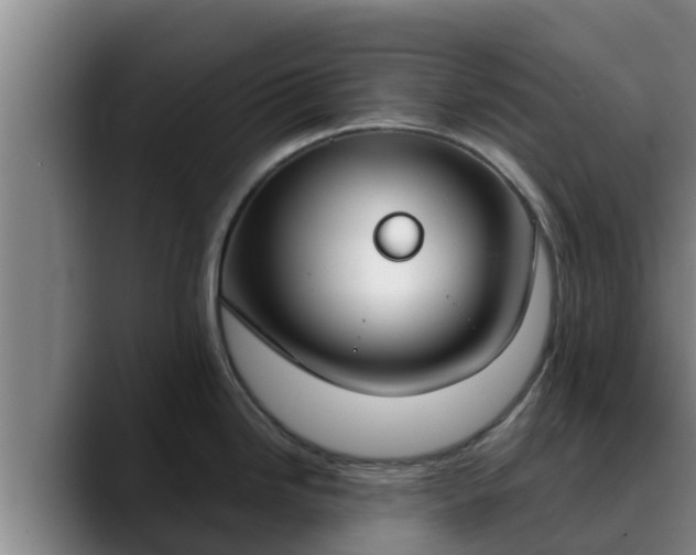 X0000090421246200707201112