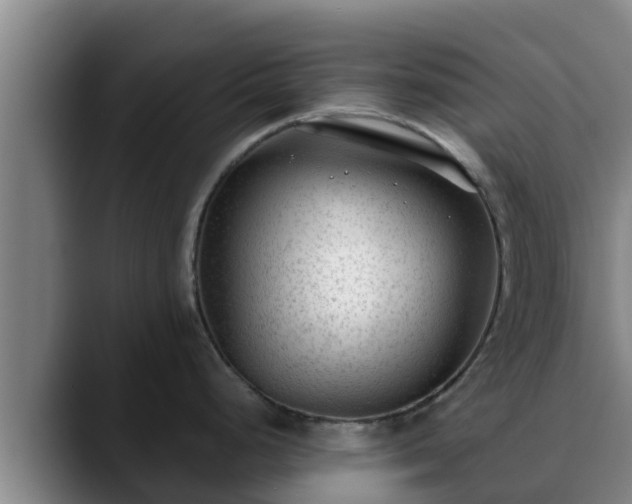 X0000090421248200707201112