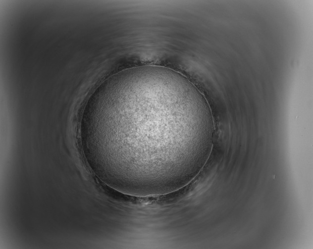 X0000090421249200707201112