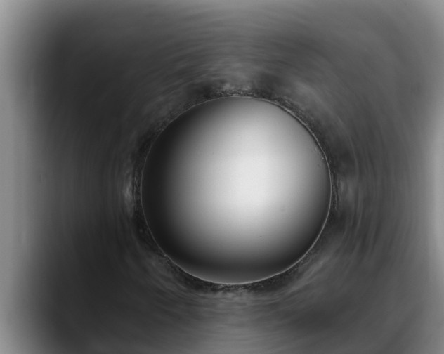 X0000090421250200707201112