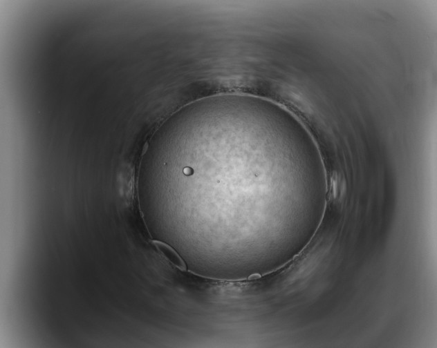 X0000090421251200707201112