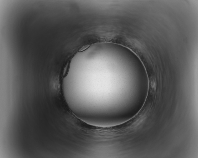 X0000090421252200707201112