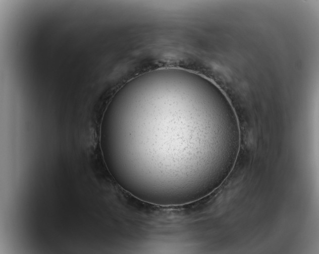 X0000090421253200707201112