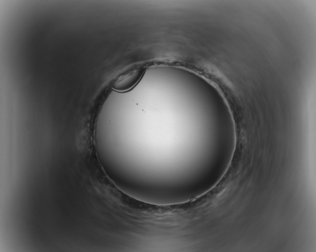 X0000090421256200707201112