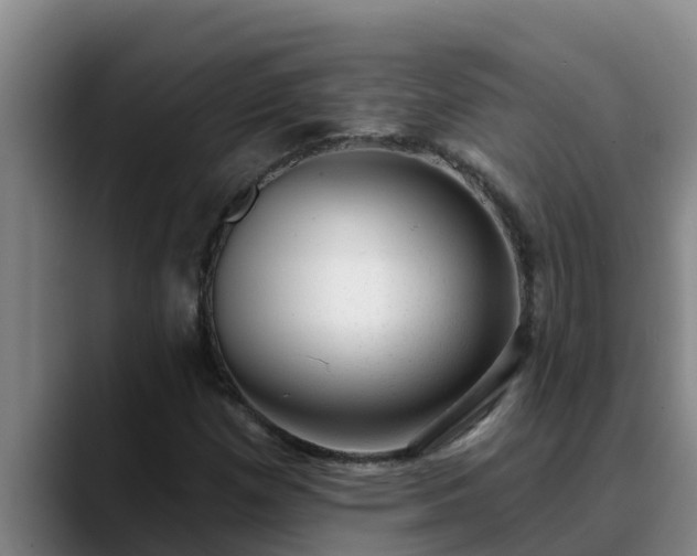 X0000090421257200707201112