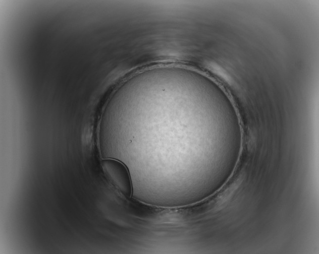 X0000090421259200707201112